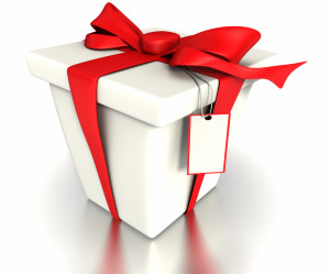 present_w_tag_red_bow_1_08_09_pc_pro_me